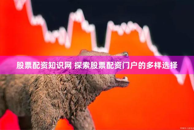 股票配资知识网 探索股票配资门户的多样选择
