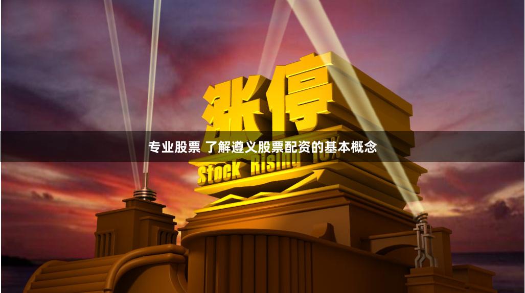 专业股票 了解遵义股票配资的基本概念